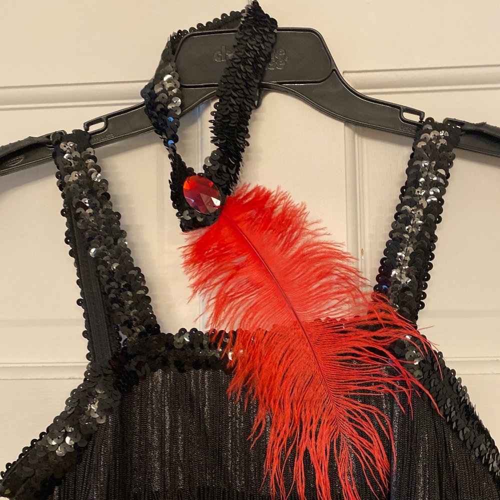 1920s Fringed Flapper Costume